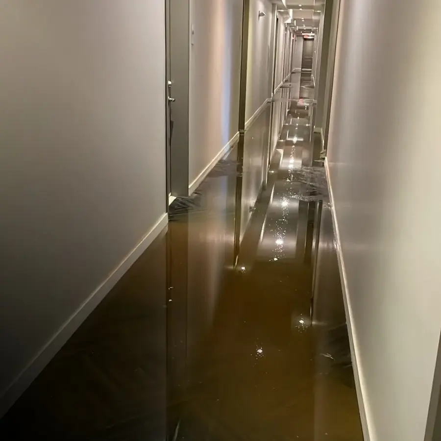 Flooded basement extraction in Grant Park, Atlanta