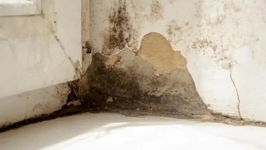 Crawl space drying under an older home in Candler Park, Atlanta