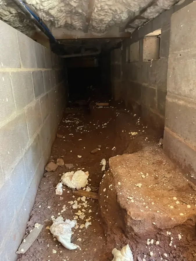 Storm flooding cleanup in Vinings