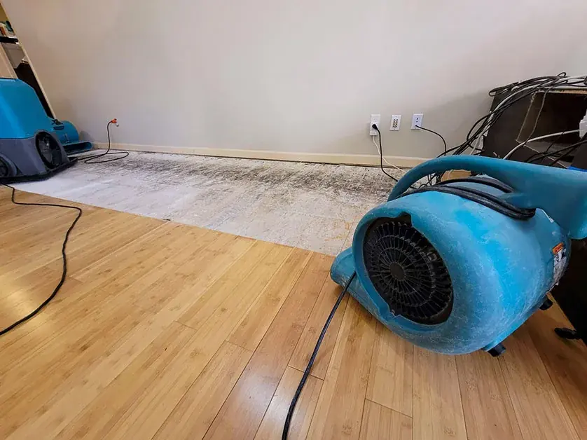 Roof and ceiling leak dry-out in Sandy Springs