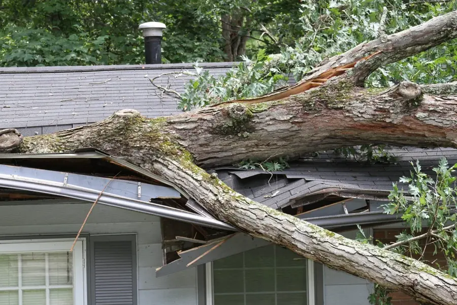 Intown Atlanta neighborhood street in the water damage service area